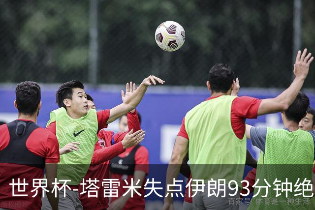 世界杯-塔雷米失点伊朗93分钟绝杀球被吹 埃及1-1获小组第二