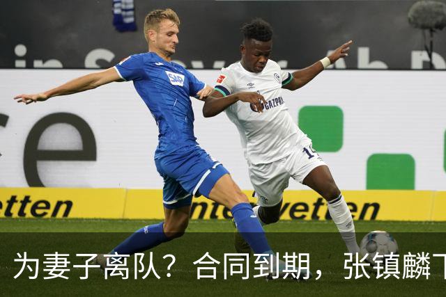 为妻子离队？合同到期，张镇麟下家4选1，广东2队有机会